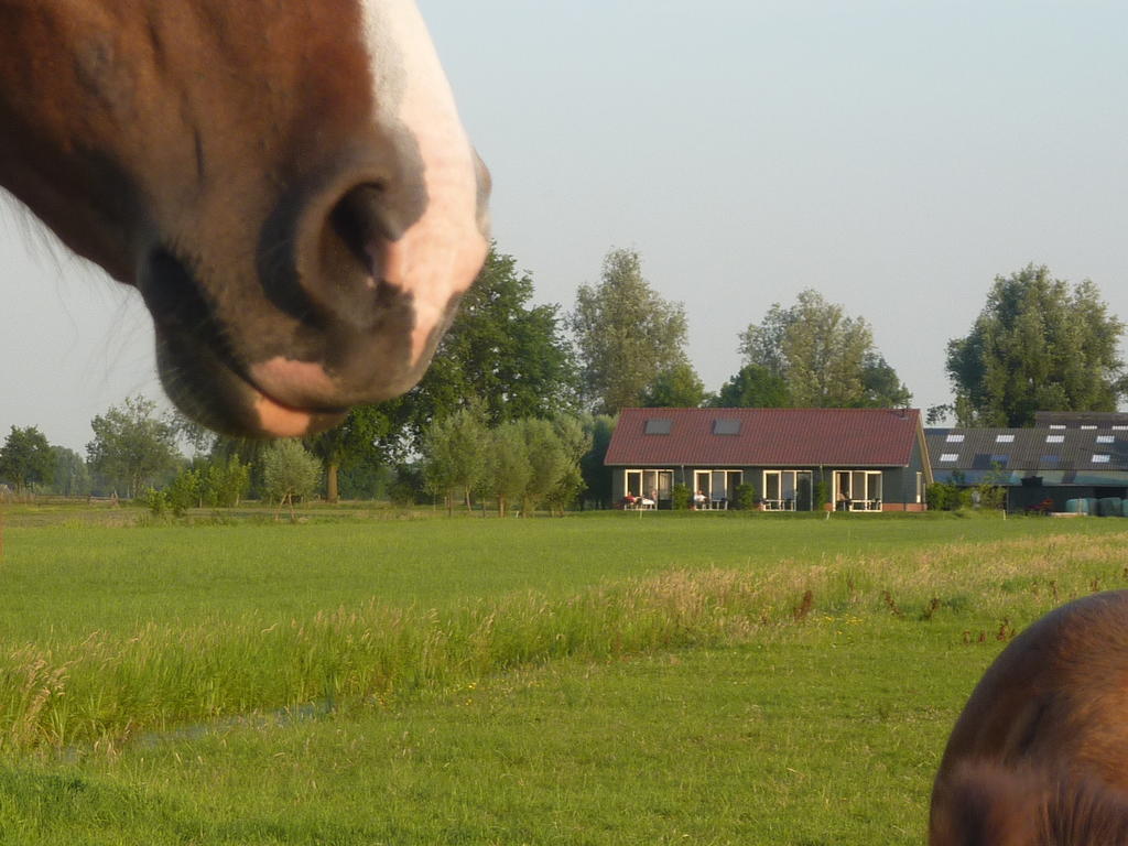 Boerderij "De Verwondering" Goudriaan Extérieur photo